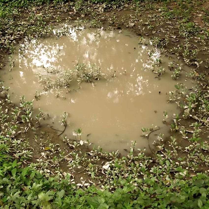 Basing: Ak Puddles