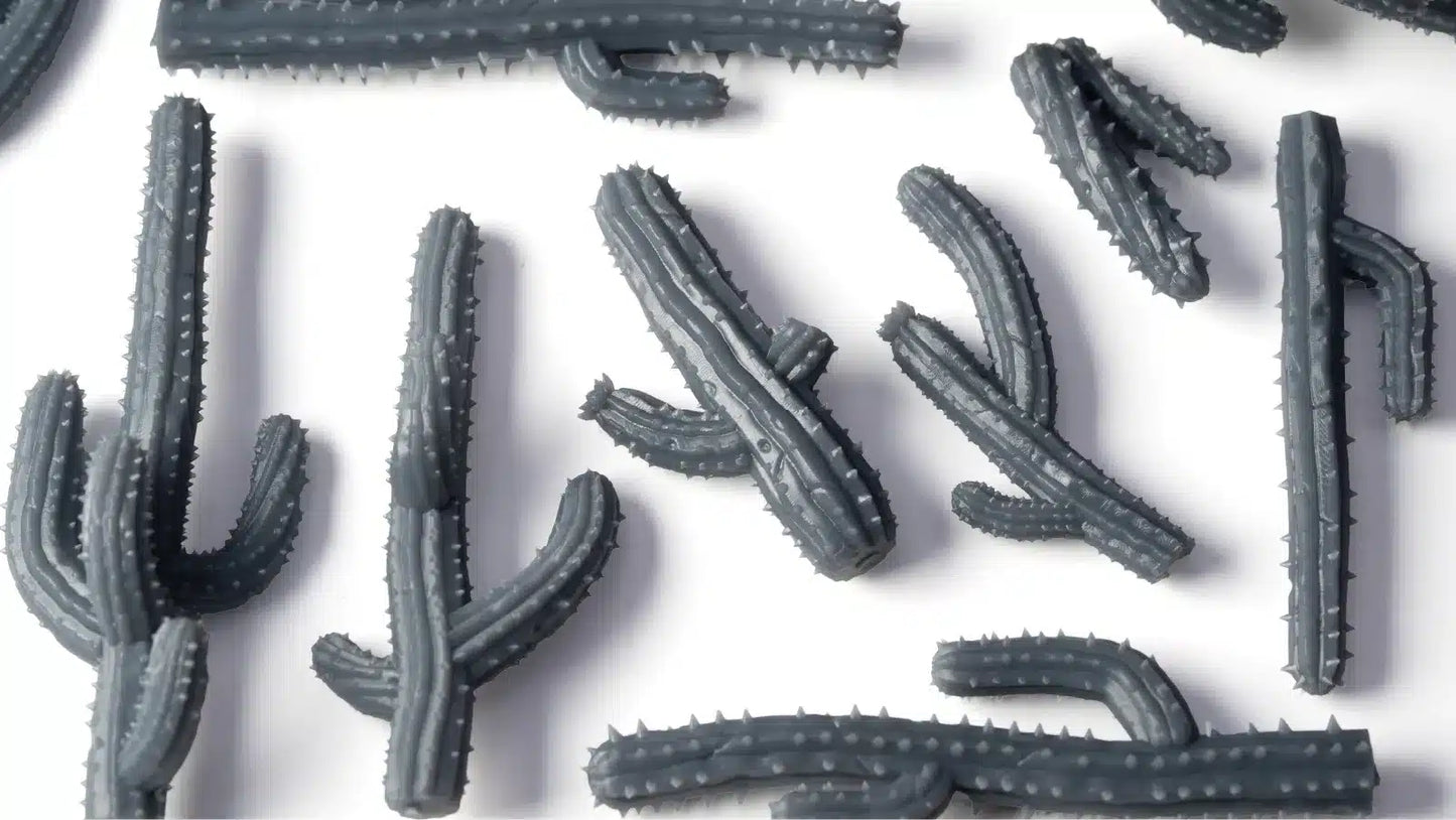 Basing bits Saguaro Cacti