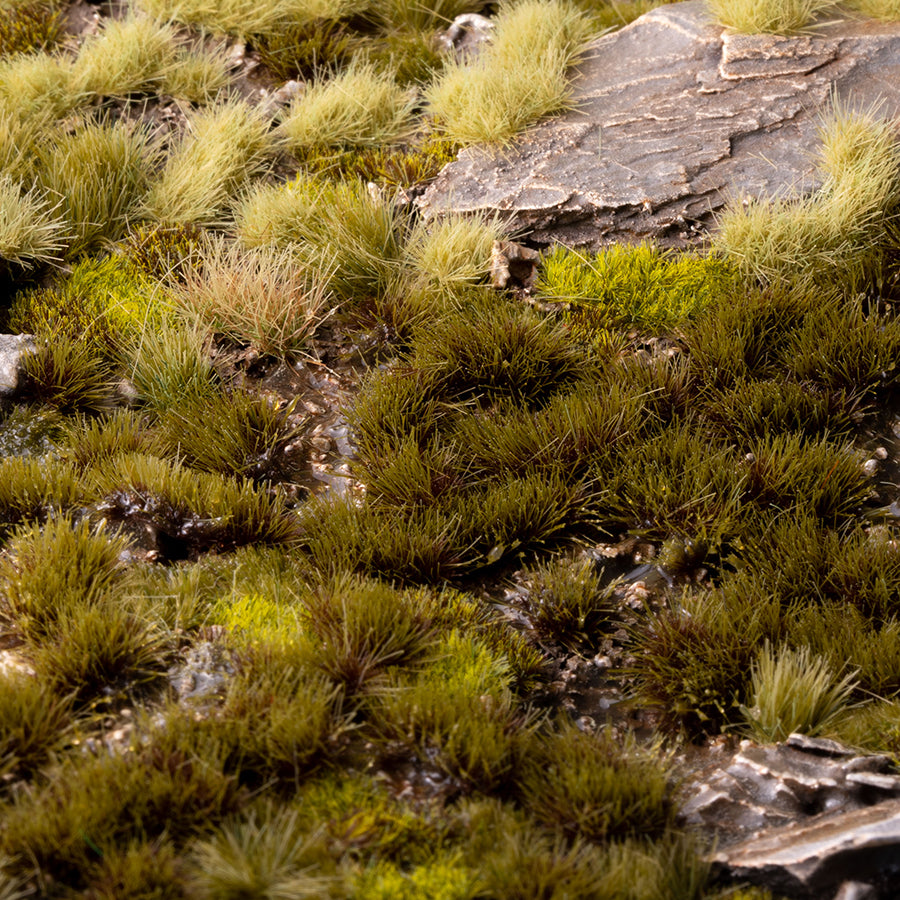 Swamp 4mm - Small