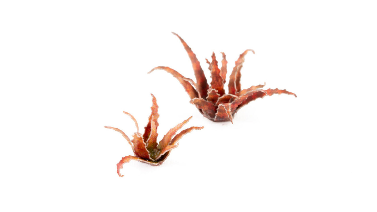 Gamers Grass Static Tuft Laser Plants - Red Aloe