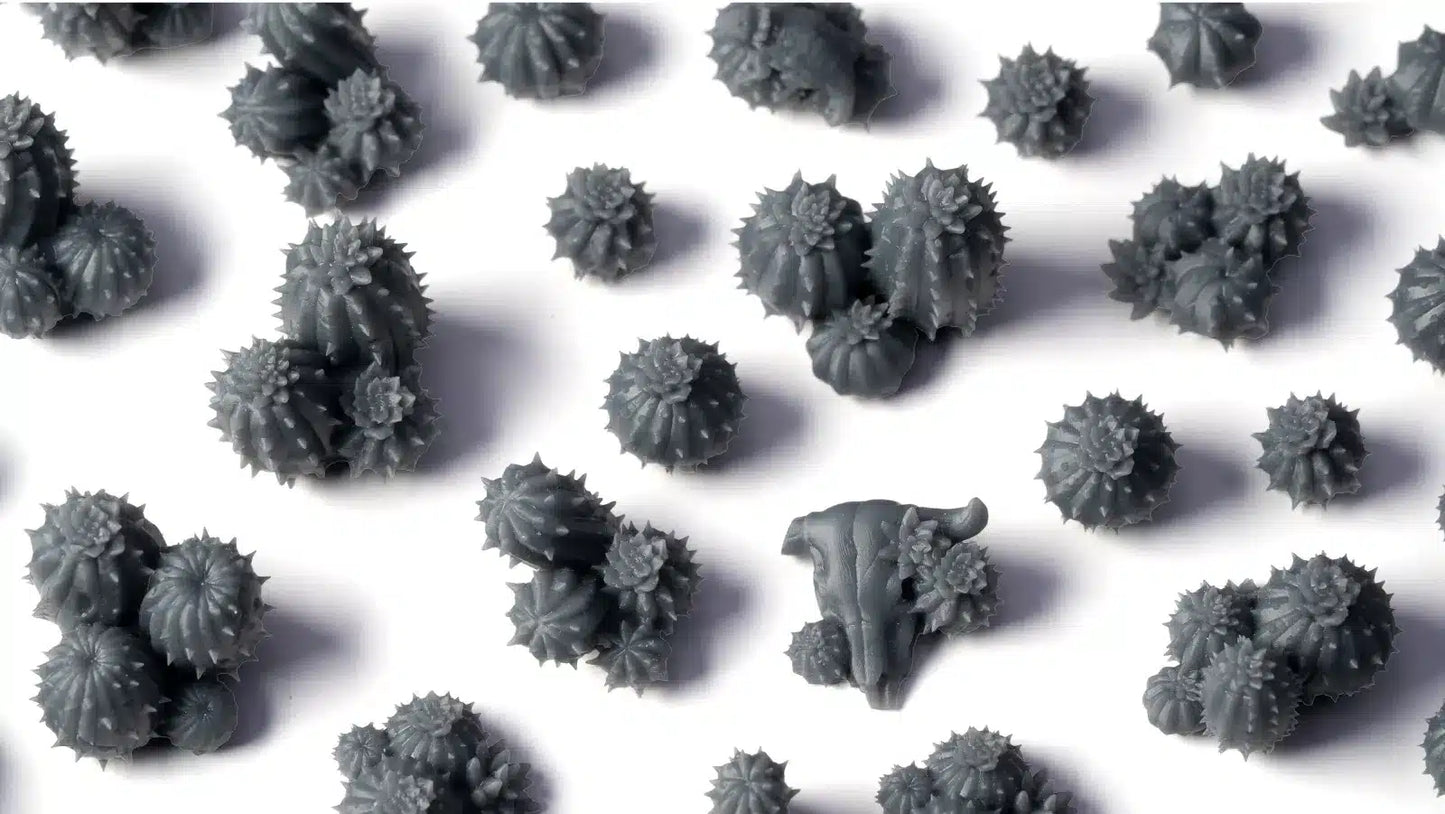 Basing bits Barrel Cacti