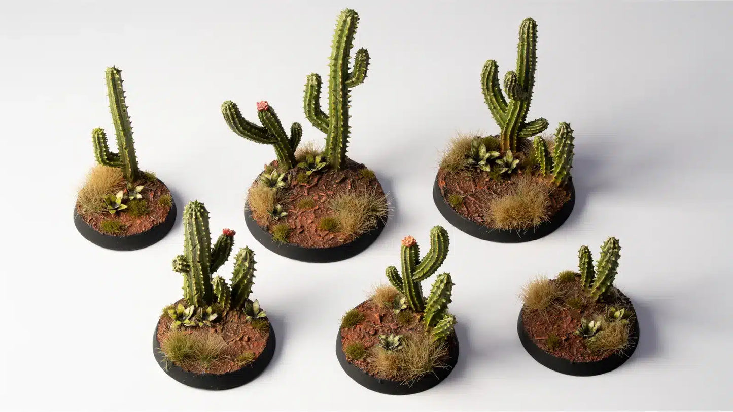 Basing bits Saguaro Cacti