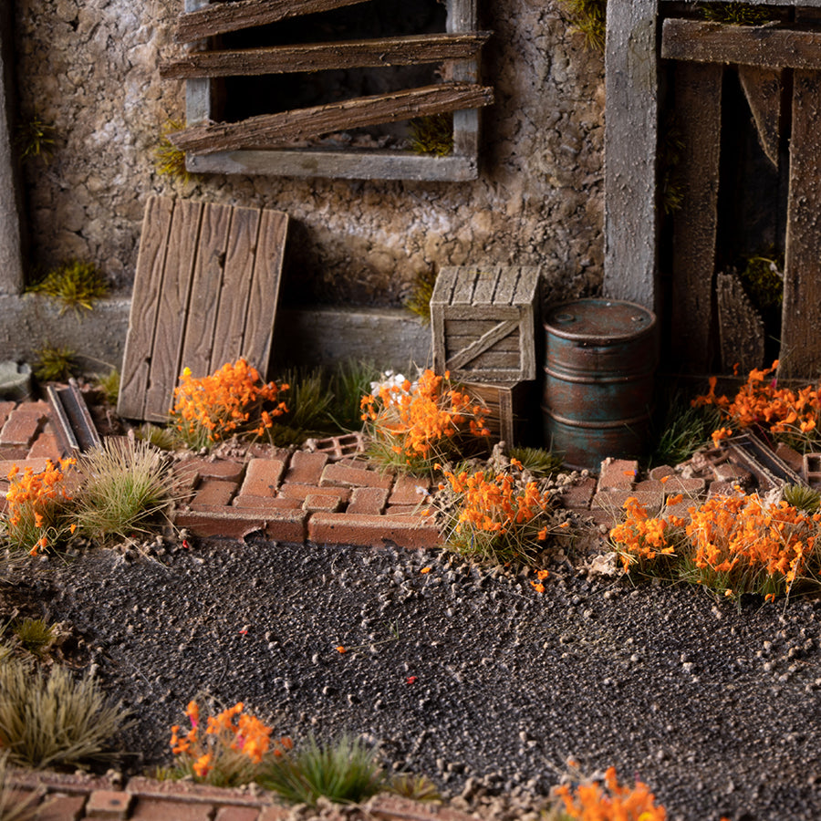 Orange Flowers